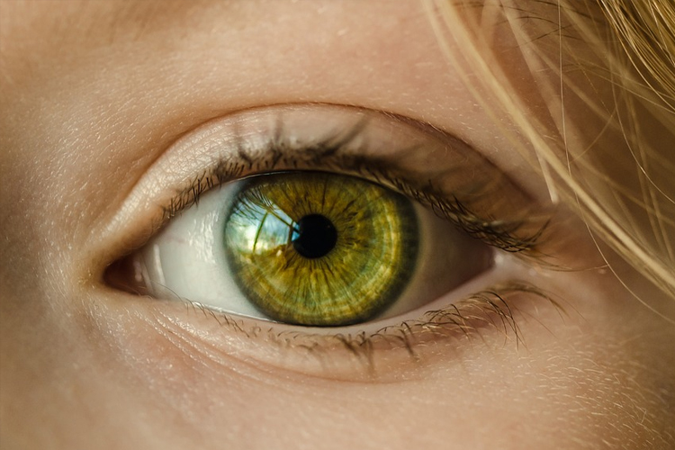 Close up of a woman’s green eye, flaunting a good eyelid crease.